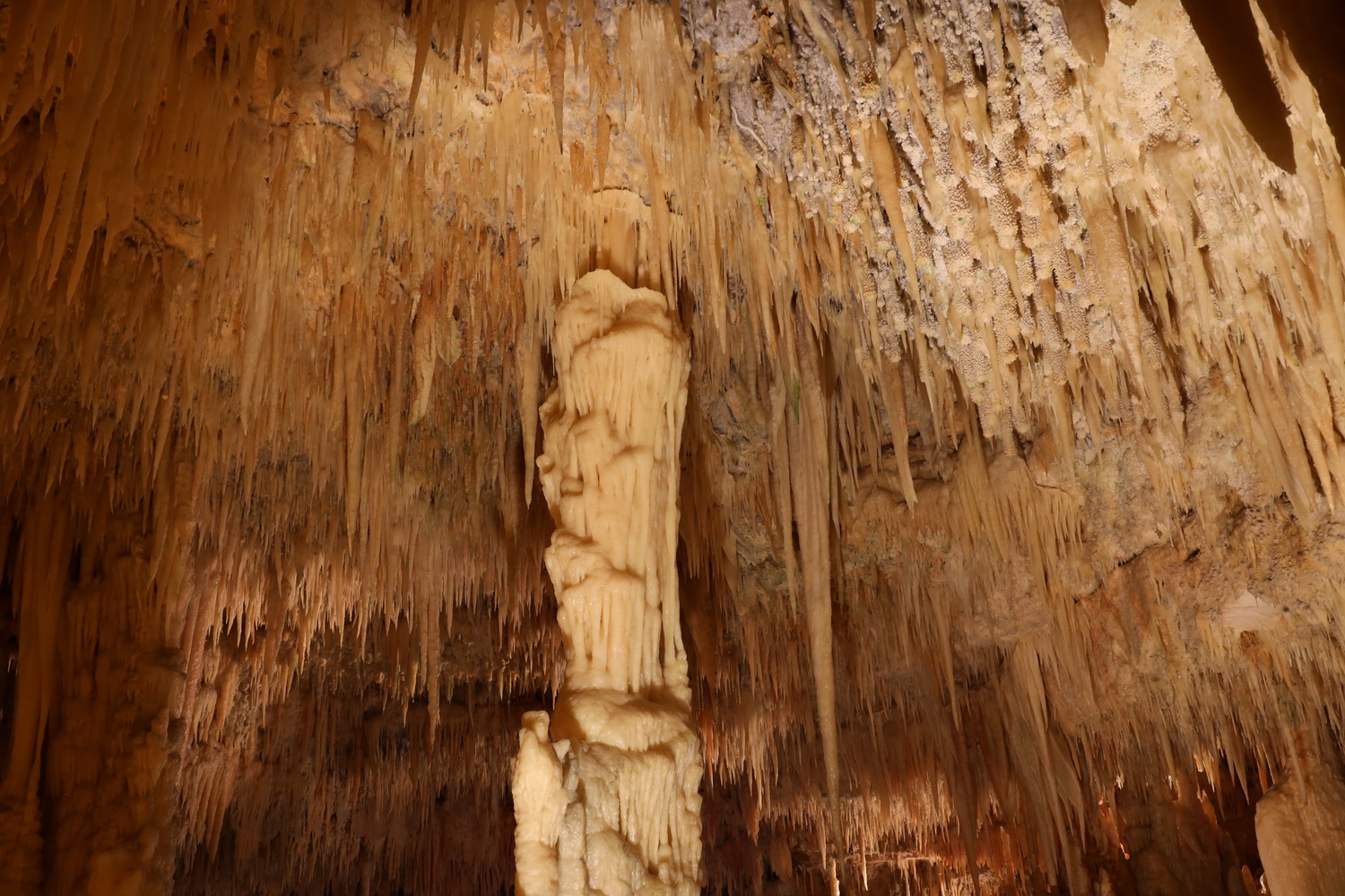 Weiße Grotte- Grotte di Castellana
