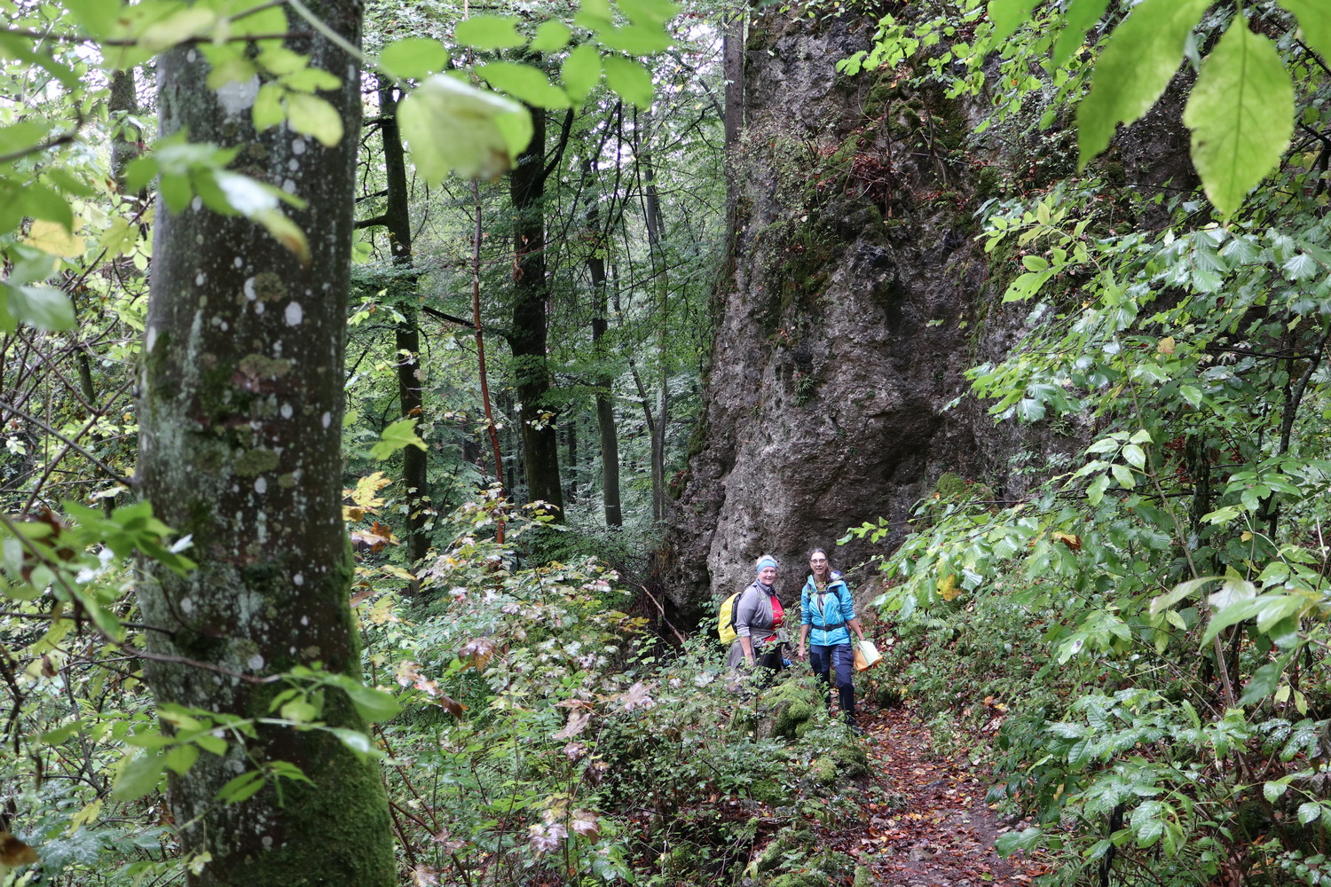 Räuberwald