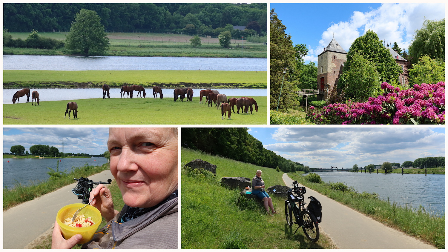 Picknick an der Maas