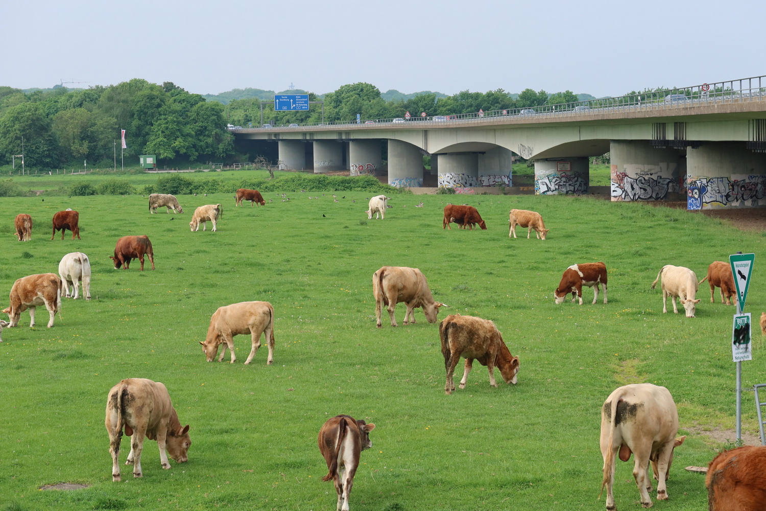 Landidyll an der A40
