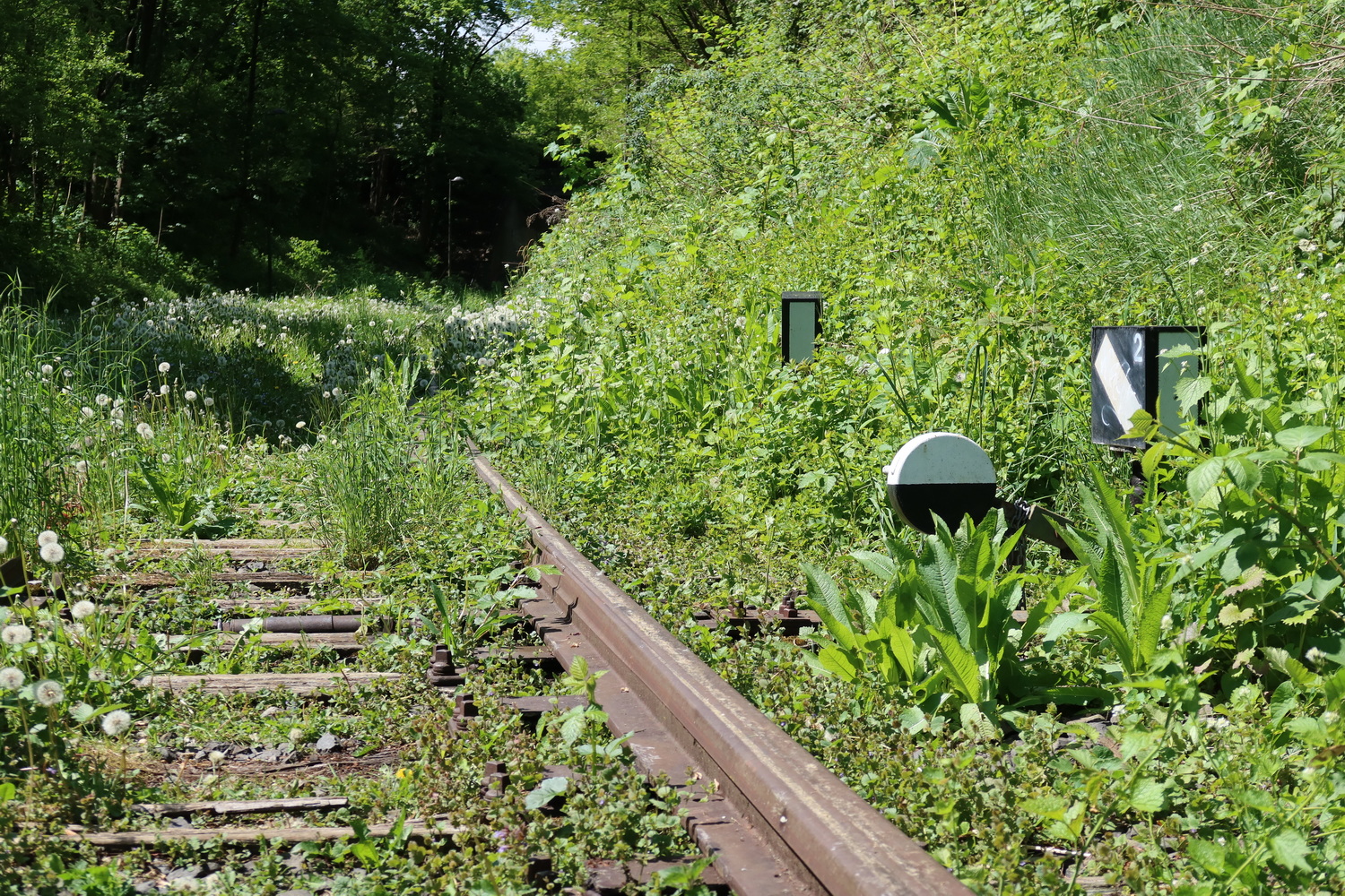 Stumme Zeitzeugen an der Nordbahntrasse