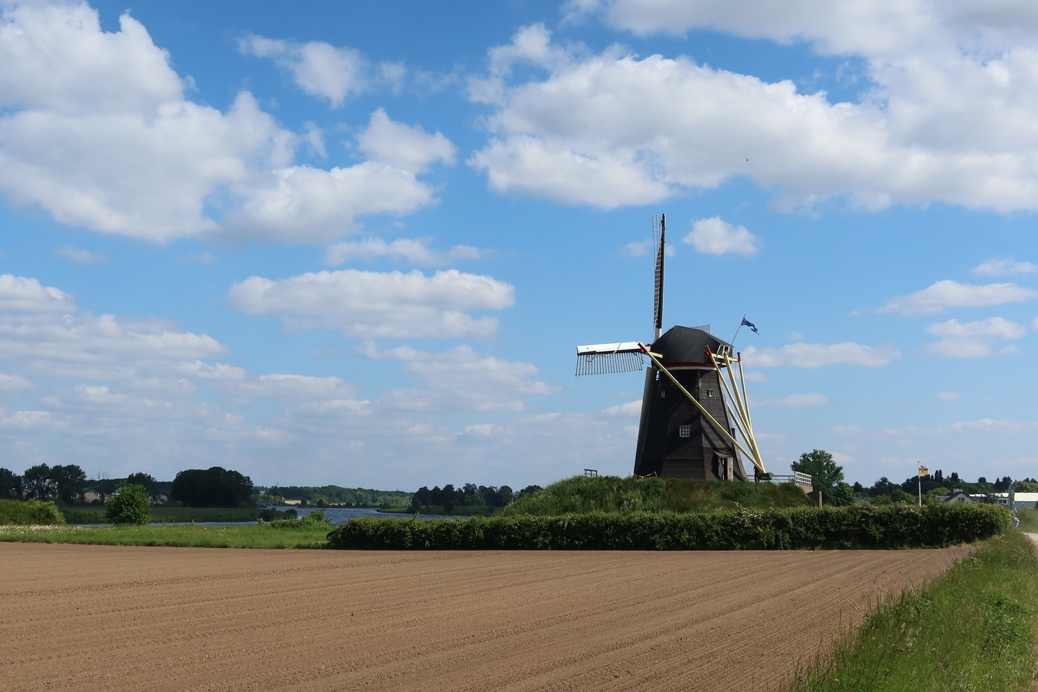 Windmühle "De Grauwe Beer"