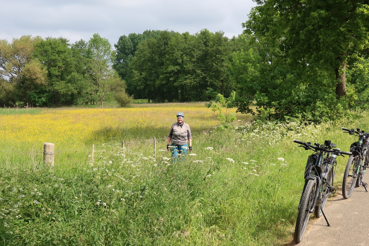 Landschaft am Weg