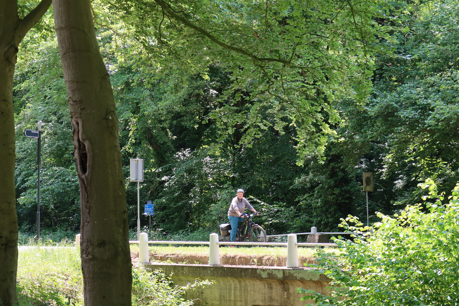 Waldgebiet am Kasteel-Arcen