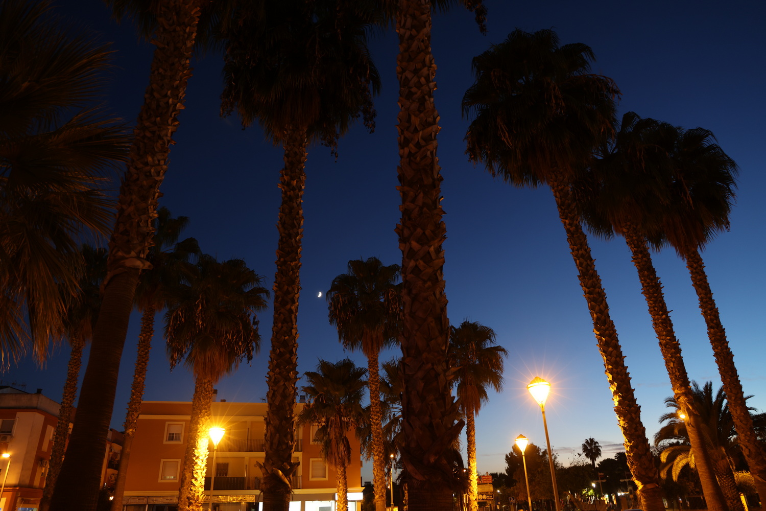 Abendstimmung vor dem Supermarkt in Almodóvar