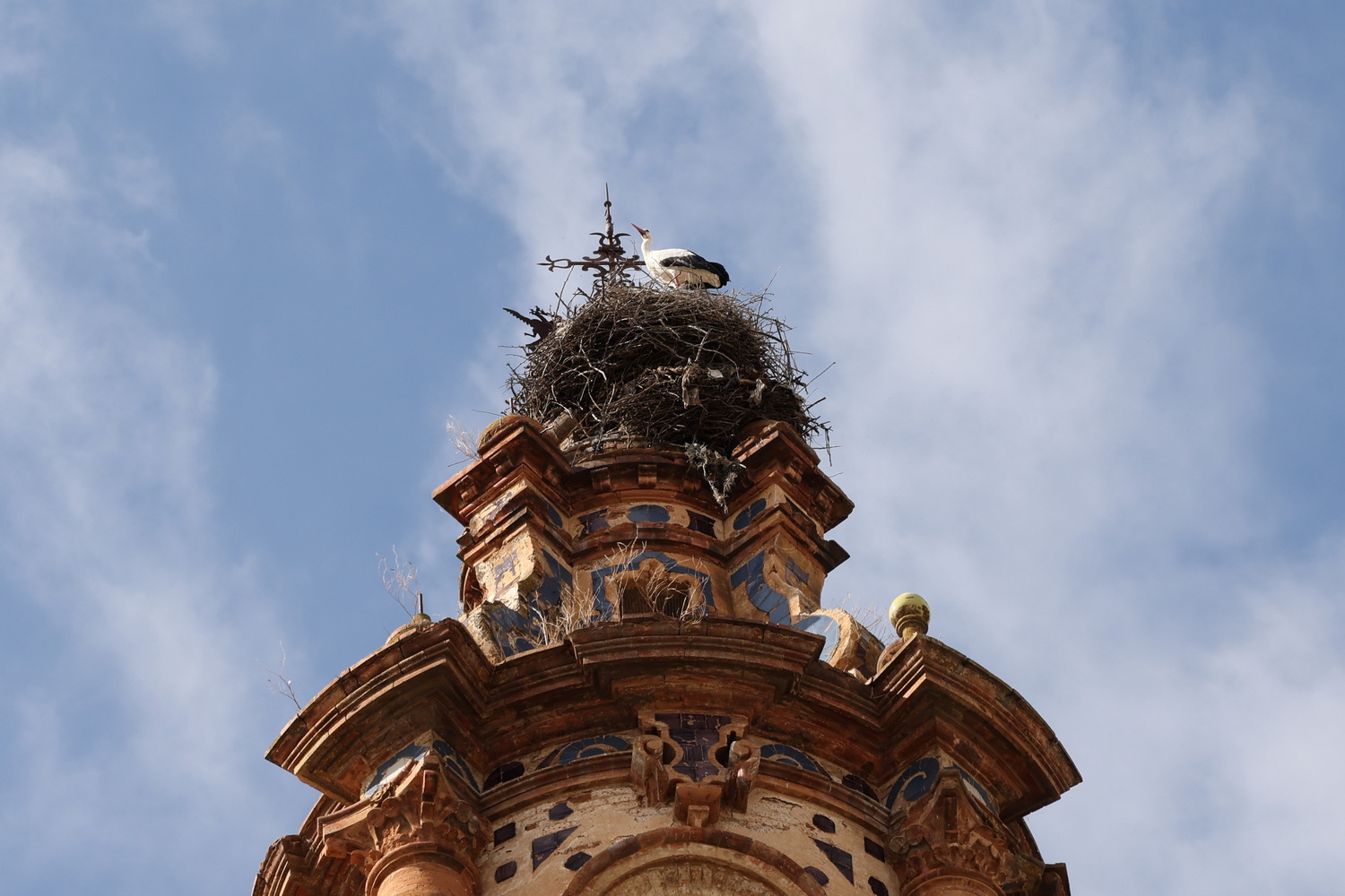 Palma del Rio- Storchennest auf dem Kirchturm