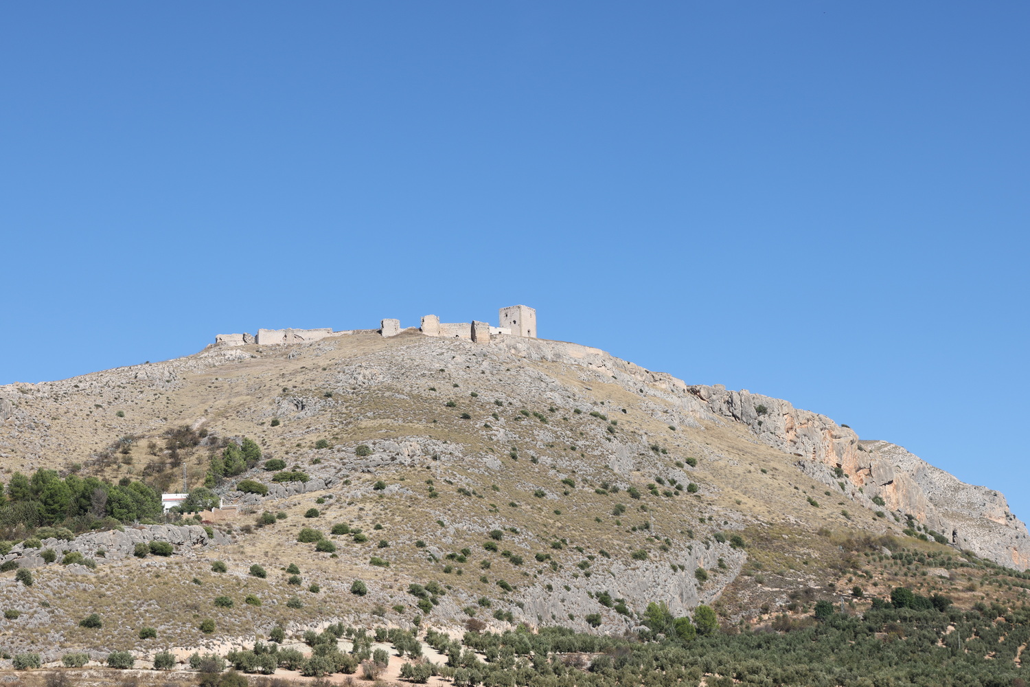 Fern von Schottland- Castello de la Estrella in Teba