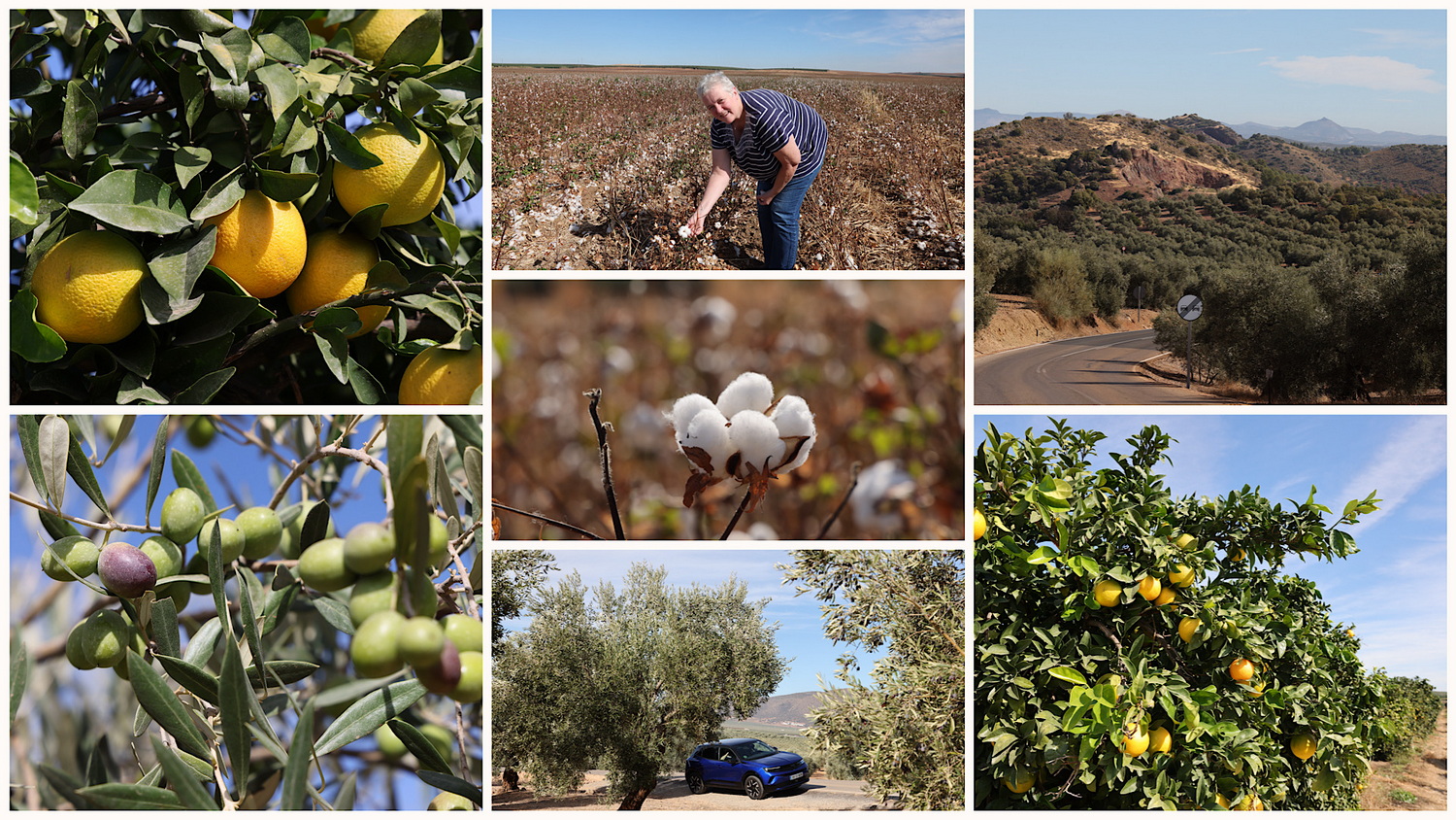 Auf der Anfahrt von Málaga nach Palma del Rio