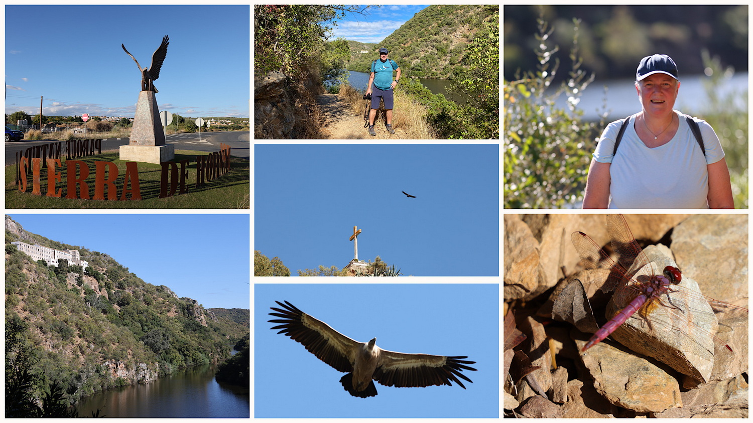 NP- Sierra de Hornachuelos- Auf dem Sendero Los Ángeles