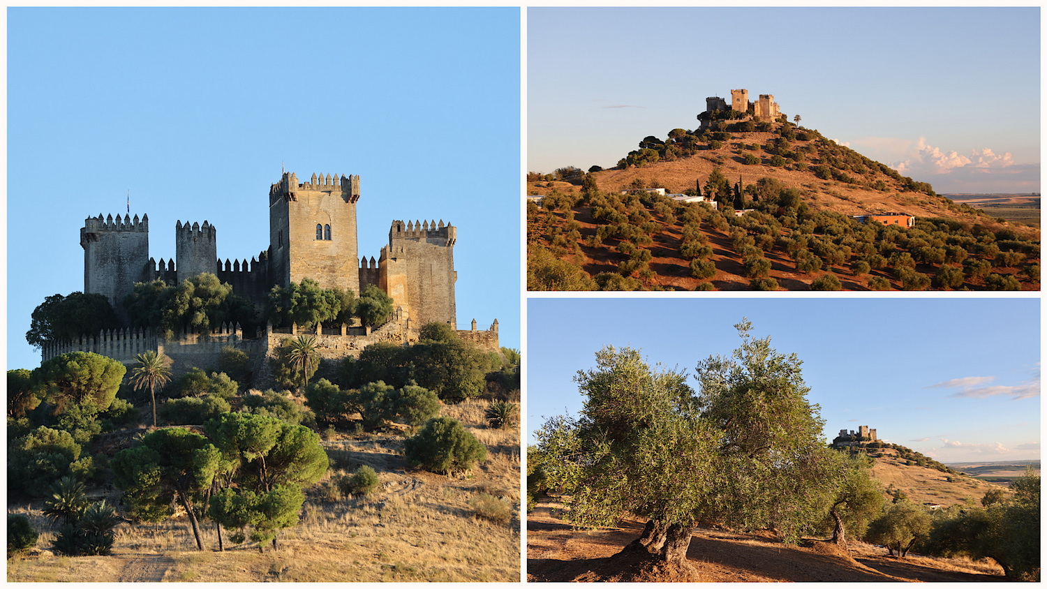 Das Kastell von Almodóvar in der Nachmittagssonne