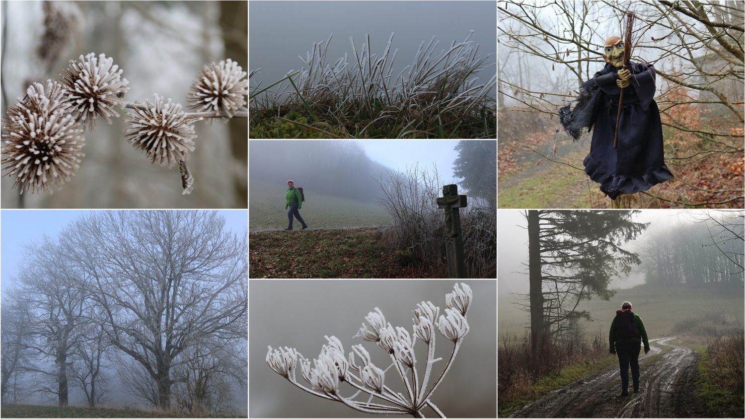 Durch Nebelwald zur Nürburg
