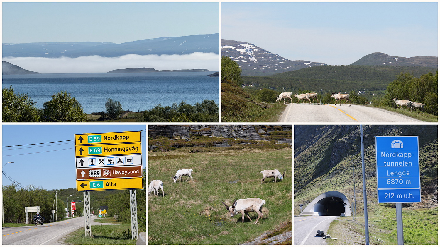 Auf dem Weg zum Nordkap