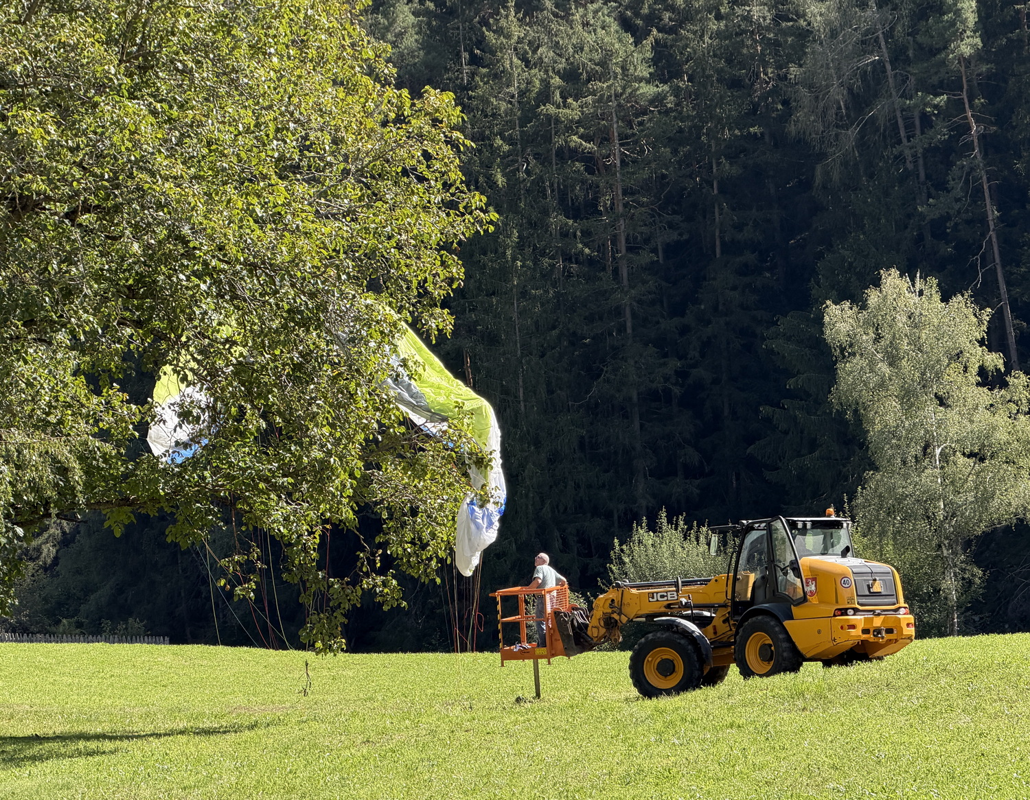 Shit happens- Irgendwie war der Baum dann da...